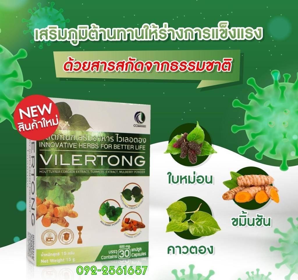 ไวเลอตอง VILERTONG