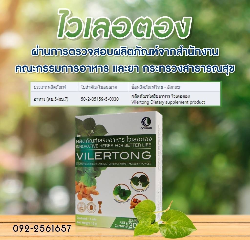 VILERTONG ไวเลอตอง
