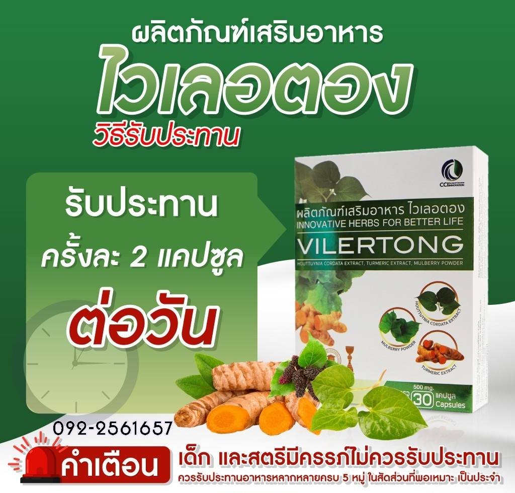 VILERTONG ไวเลอตอง