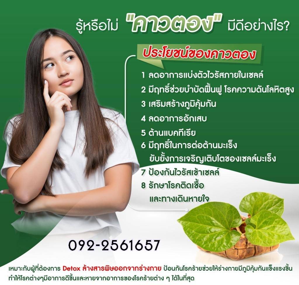 ไวเลอตอง VILERTONG