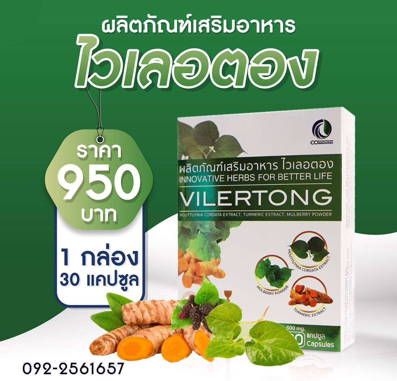 VILERTONG ไวเลอตอง