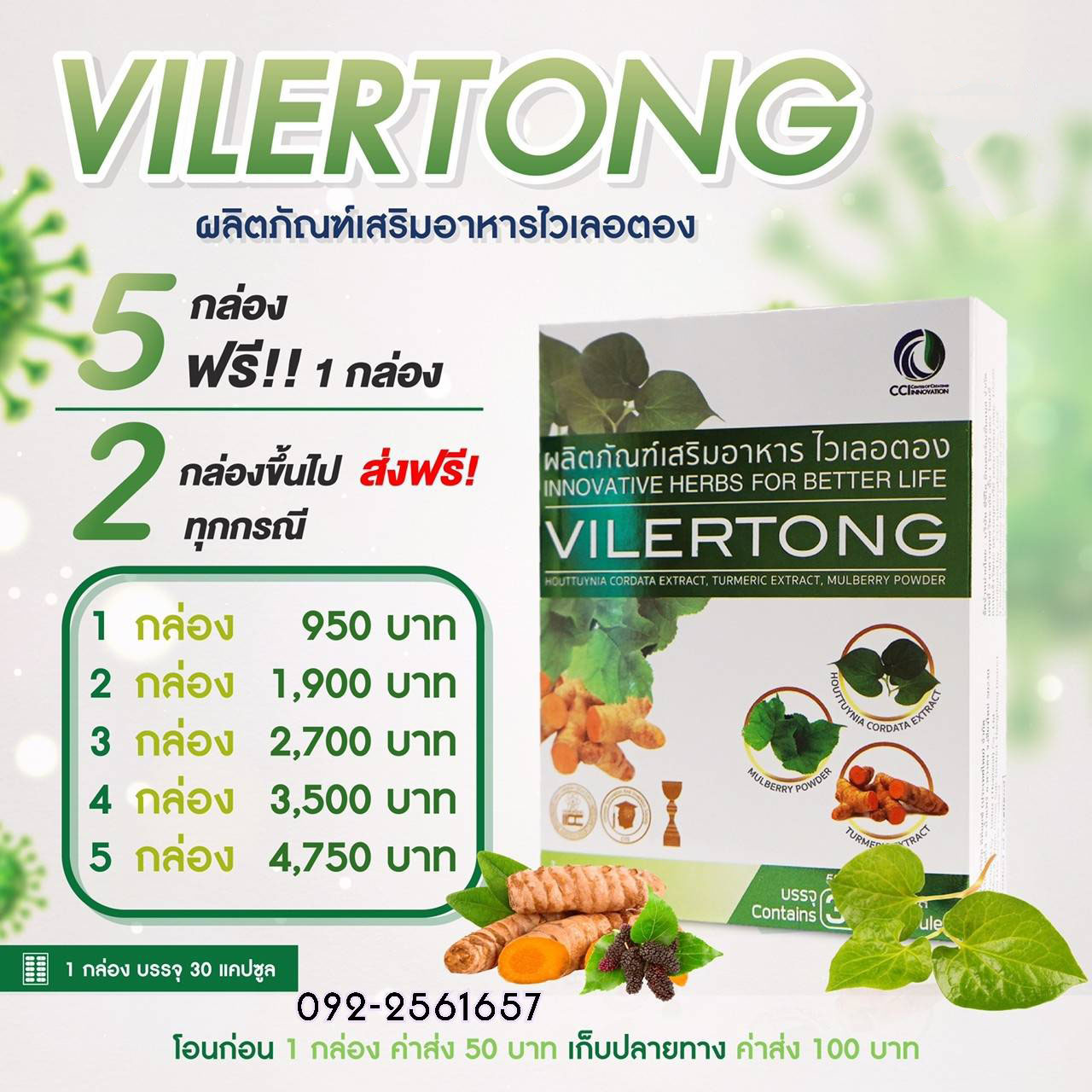 VILERTONG ไวเลอตอง